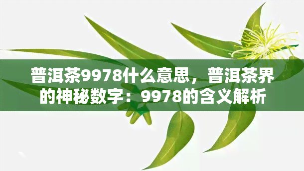 普洱茶9978什么意思，普洱茶界的神秘数字：9978的含义解析