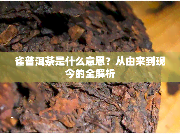 雀普洱茶是什么意思？从由来到现今的全解析