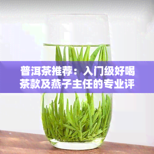 普洱茶推荐：入门级好喝茶款及燕子主任的专业评价