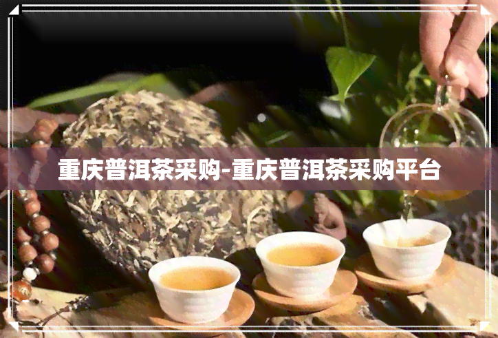 重庆普洱茶采购-重庆普洱茶采购平台