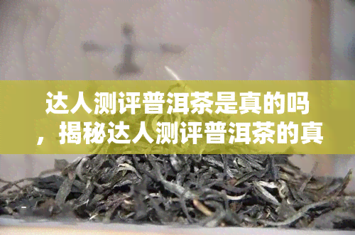 达人测评普洱茶是真的吗，揭秘达人测评普洱茶的真实性：你被骗了吗？