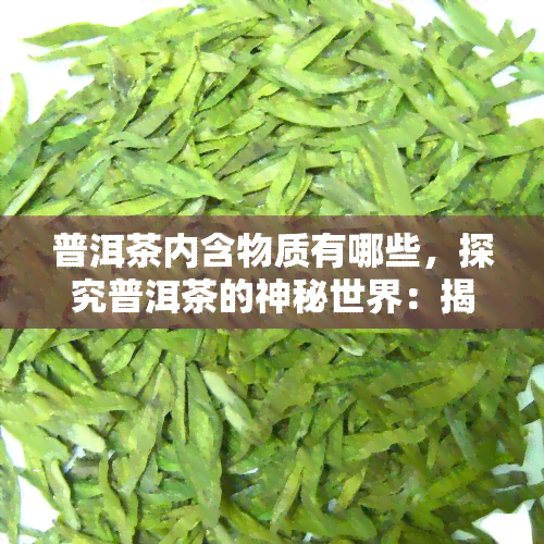 普洱茶内含物质有哪些，探究普洱茶的神秘世界：揭秘其内含物质