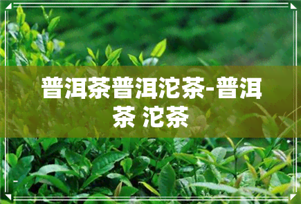 普洱茶普洱沱茶-普洱茶 沱茶