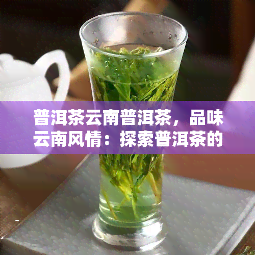 普洱茶云南普洱茶，品味云南风情：探索普洱茶的世界