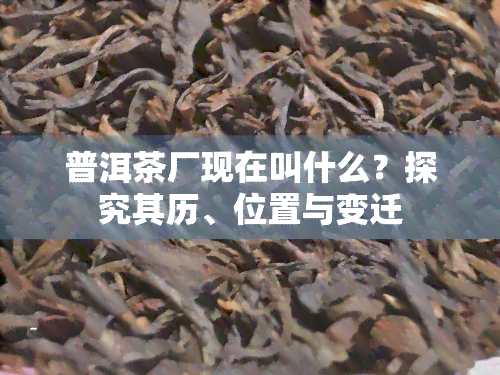 普洱茶厂现在叫什么？探究其历、位置与变迁