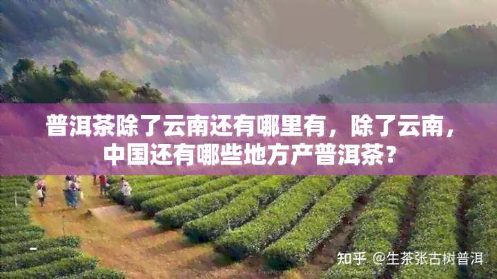 普洱茶除了云南还有哪里有，除了云南，中国还有哪些地方产普洱茶？