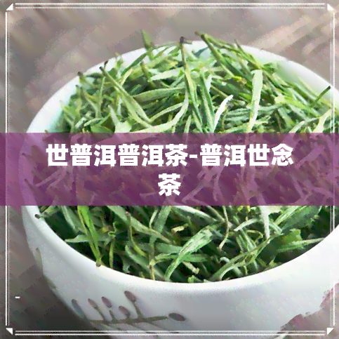 世普洱普洱茶-普洱世念茶