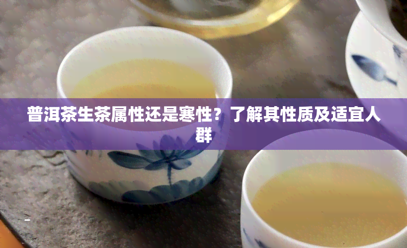 普洱茶生茶属性还是寒性？了解其性质及适宜人群