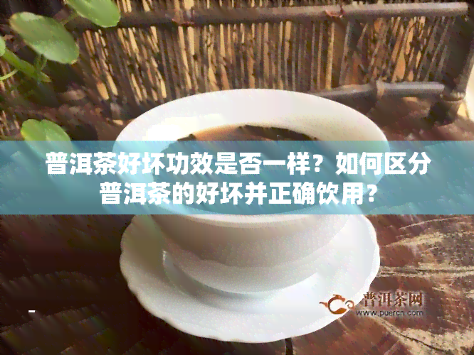 普洱茶好坏功效是否一样？如何区分普洱茶的好坏并正确饮用？