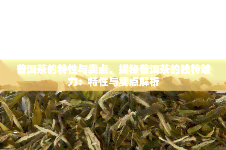 普洱茶的特性与卖点，揭秘普洱茶的独特魅力：特性与卖点解析