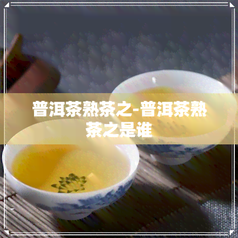 普洱茶熟茶之-普洱茶熟茶之是谁