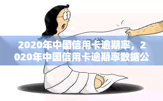 2020年中国信用卡逾期率，2020年中国信用卡逾期率数据公布，揭示信贷市场风险状况