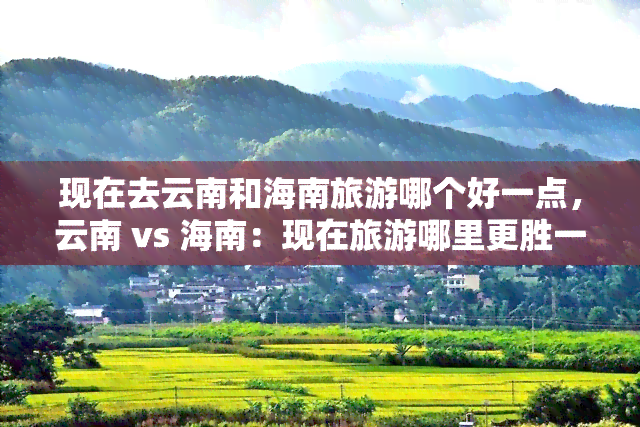 现在去云南和海南旅游哪个好一点，云南 vs 海南：现在旅游哪里更胜一筹？