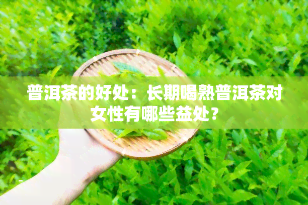 普洱茶的好处：长期喝熟普洱茶对女性有哪些益处？