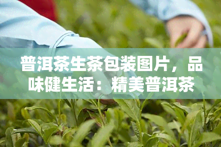 普洱茶生茶包装图片，品味健生活：精美普洱茶生茶包装图片欣