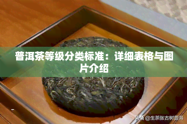 普洱茶等级分类标准：详细表格与图片介绍