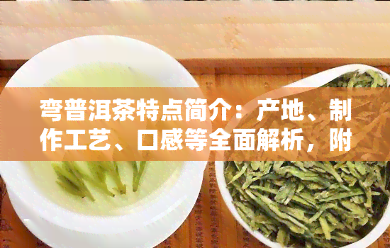 弯普洱茶特点简介：产地、制作工艺、口感等全面解析，附生茶价格一览