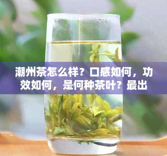 潮州茶怎么样？口感如何，功效如何，是何种茶叶？最出名的是哪一款？