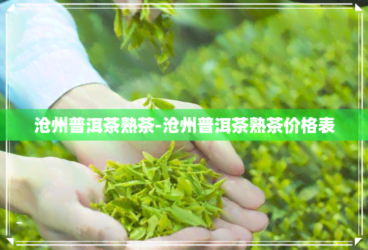 沧州普洱茶熟茶-沧州普洱茶熟茶价格表