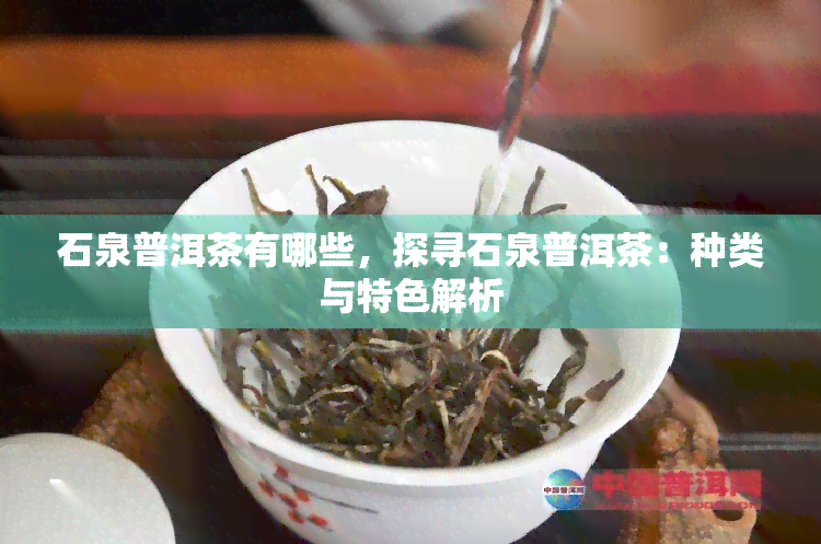 石泉普洱茶有哪些，探寻石泉普洱茶：种类与特色解析