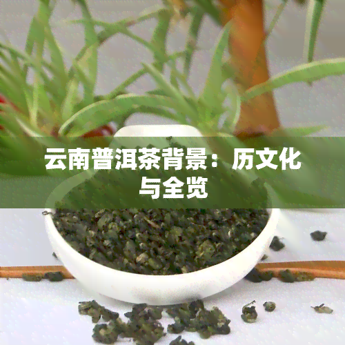 云南普洱茶背景：历文化与全览