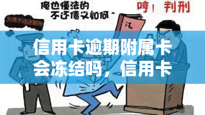 信用卡逾期附属卡会冻结吗，信用卡逾期会影响附属卡的使用吗？答案在这里！