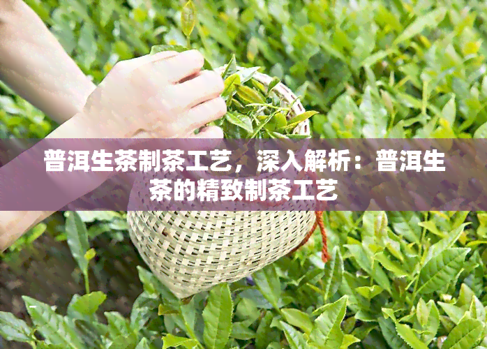 普洱生茶制茶工艺，深入解析：普洱生茶的精致制茶工艺