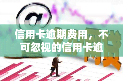 信用卡逾期费用，不可忽视的信用卡逾期费用：你必须知道的一切