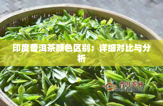 印度普洱茶颜     别：详细对比与分析