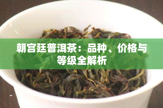 朝宫廷普洱茶：品种、价格与等级全解析