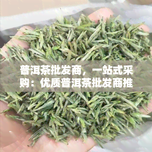 普洱茶批发商，一站式采购：优质普洱茶批发商推荐