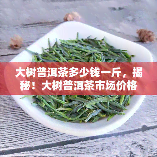 大树普洱茶多少钱一斤，揭秘！大树普洱茶市场价格，一斤要多少钱？