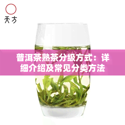 普洱茶熟茶分级方式：详细介绍及常见分类方法