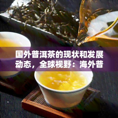 国外普洱茶的现状和发展动态，全球视野：海外普洱茶市场的发展现状与趋势分析