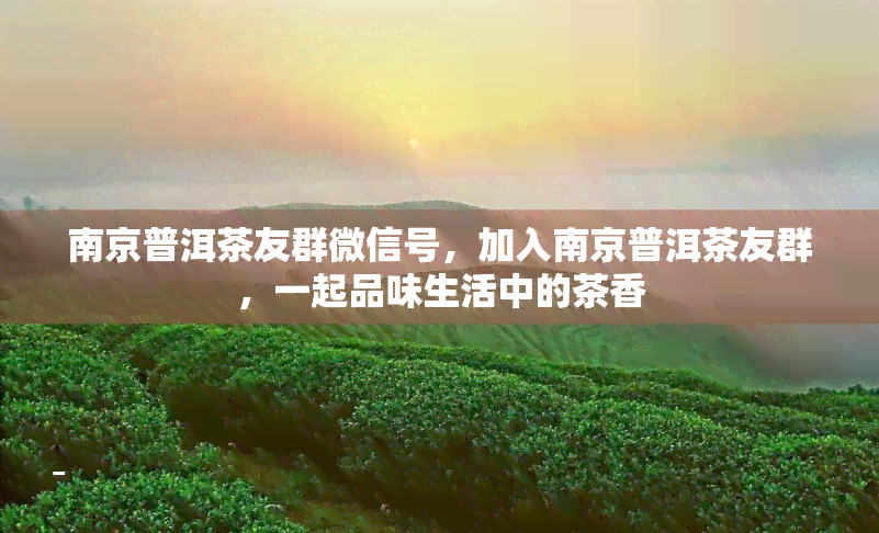 南京普洱茶友群微信号，加入南京普洱茶友群，一起品味生活中的茶香