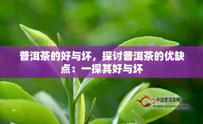 普洱茶的好与坏，探讨普洱茶的优缺点：一探其好与坏