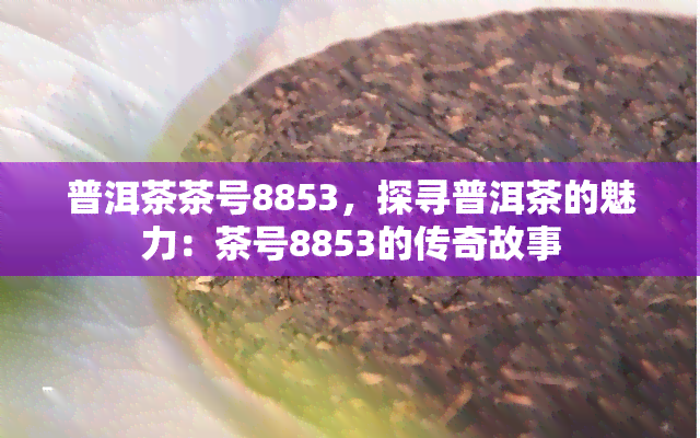 普洱茶茶号8853，探寻普洱茶的魅力：茶号8853的传奇故事