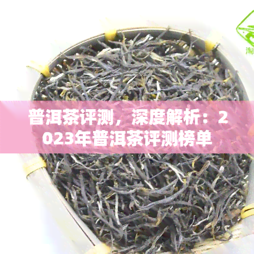 普洱茶评测，深度解析：2023年普洱茶评测榜单