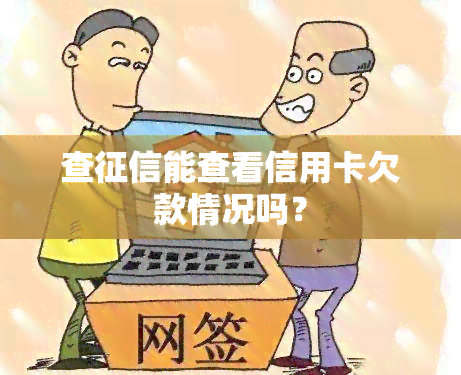 查能查看信用卡欠款情况吗？