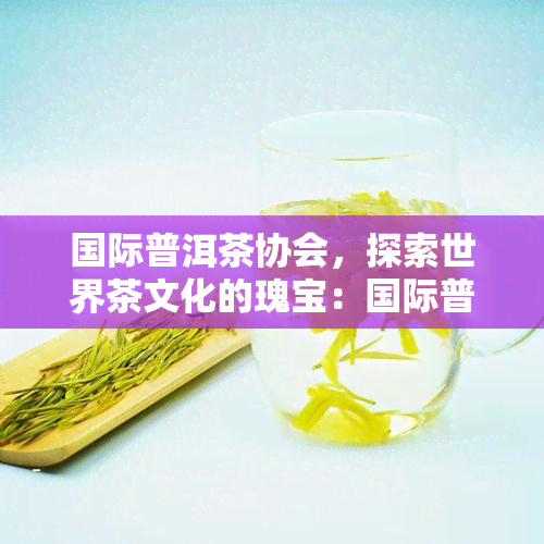 国际普洱茶协会，探索世界茶文化的瑰宝：国际普洱茶协会