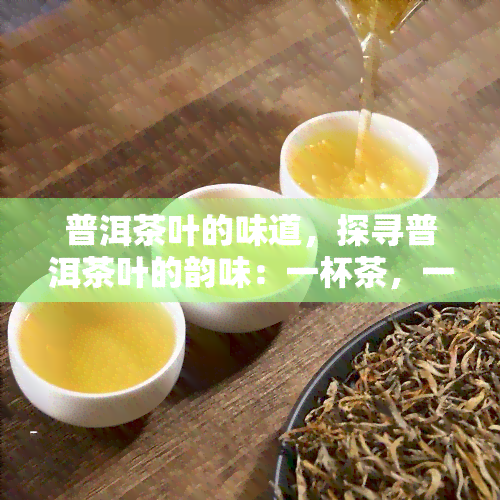 普洱茶叶的味道，探寻普洱茶叶的韵味：一杯茶，一份故事