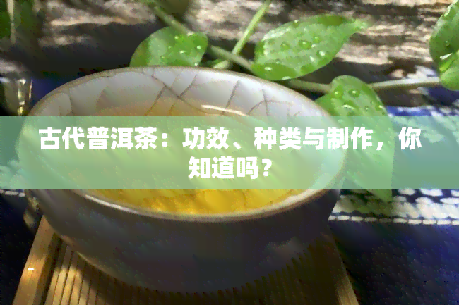 古代普洱茶：功效、种类与制作，你知道吗？