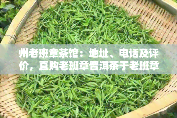 州老班章茶馆：地址、电话及评价，直购老班章普洱茶于老班章茶业