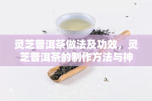 灵芝普洱茶做法及功效，灵芝普洱茶的制作方法与神奇功效解析