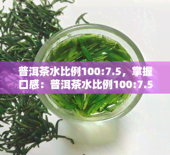 普洱茶水比例100:7.5，掌握口感：普洱茶水比例100:7.5的冲泡技巧