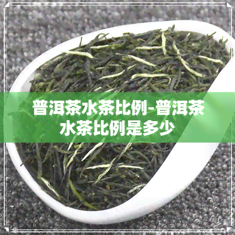 普洱茶水茶比例-普洱茶水茶比例是多少