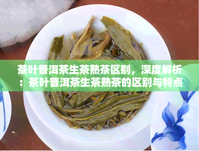 茶叶普洱茶生茶熟茶区别，深度解析：茶叶普洱茶生茶熟茶的区别与特点