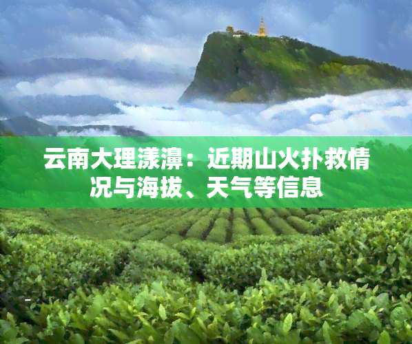 云南大理漾濞：近期山火扑救情况与海拔、天气等信息