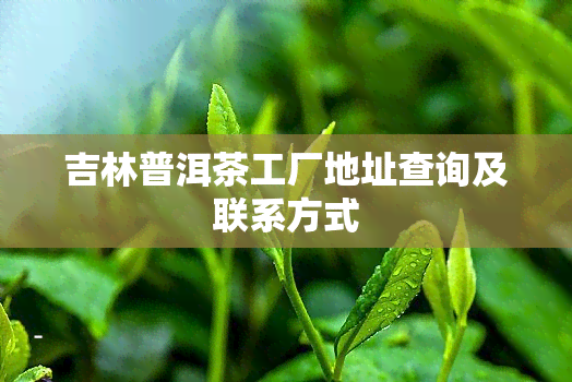 吉林普洱茶工厂地址查询及联系方式