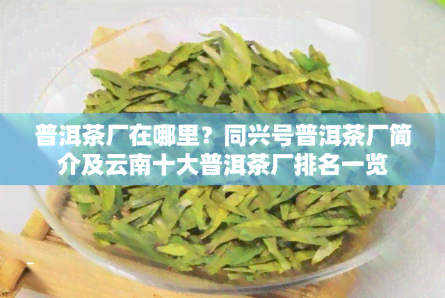 普洱茶厂在哪里？同兴号普洱茶厂简介及云南十大普洱茶厂排名一览